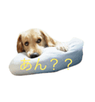 クゥたん❗️❗️（個別スタンプ：5）
