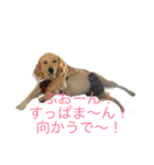 クゥたん❗️❗️（個別スタンプ：7）