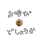 こうしがーるずが作ったスタンプ（個別スタンプ：2）