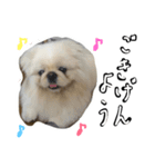 こうしがーるずが作ったスタンプ（個別スタンプ：7）