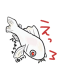 コリドラス（個別スタンプ：3）