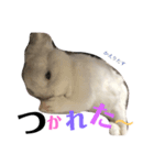 うさぎのririくん（個別スタンプ：8）