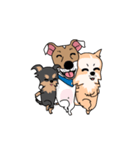 ぷよジャックラッセルテリア犬と家族（個別スタンプ：11）