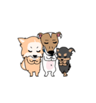 ぷよジャックラッセルテリア犬と家族（個別スタンプ：14）