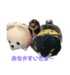 定ちゃん（個別スタンプ：5）