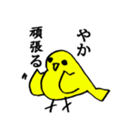 やか の為のスタンプ（個別スタンプ：19）