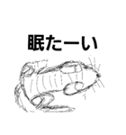 ラフ画猫（個別スタンプ：7）