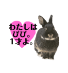 わたし、びびよ。（個別スタンプ：1）