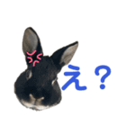 わたし、びびよ。（個別スタンプ：4）