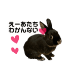 わたし、びびよ。（個別スタンプ：6）