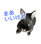 わたし、びびよ。（個別スタンプ：7）