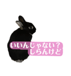 わたし、びびよ。（個別スタンプ：8）