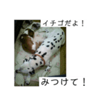イチゴのスタンプ②（個別スタンプ：5）