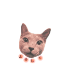 愛猫ソレちゃんのスタンプ（個別スタンプ：6）