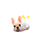 こてつ君の日常★vol.1（個別スタンプ：2）