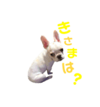 こてつ君の日常★vol.1（個別スタンプ：7）