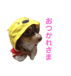 ツンデレラ♡フラッフィー（個別スタンプ：3）