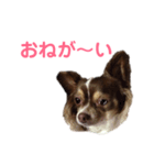 ツンデレラ♡フラッフィー（個別スタンプ：7）