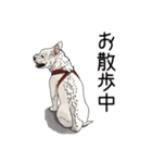 愛犬ソラのスタンプ第2弾（個別スタンプ：1）