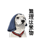 愛犬ソラのスタンプ第2弾（個別スタンプ：4）