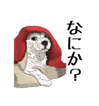愛犬ソラのスタンプ第2弾（個別スタンプ：9）