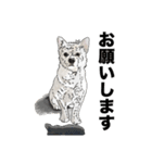 愛犬ソラのスタンプ第2弾（個別スタンプ：11）