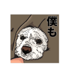 愛犬ソラのスタンプ第2弾（個別スタンプ：13）