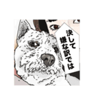 愛犬ソラのスタンプ第2弾（個別スタンプ：14）
