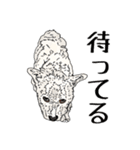 愛犬ソラのスタンプ第2弾（個別スタンプ：15）