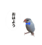 可愛い小動物スタンプ（個別スタンプ：2）