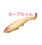 千恵さん専用すたんぷ（個別スタンプ：7）