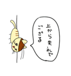 ごきぶりねこ（個別スタンプ：8）