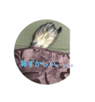 イタチスタンプ（個別スタンプ：2）
