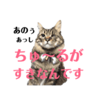 ごーちくもーちゃん（個別スタンプ：4）