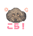 ボーロ大好きぶーちゃん（個別スタンプ：8）