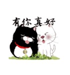 猫家族06 雪花ちゃんと黑豆貓-日常会話（個別スタンプ：16）