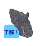 はまのうさぎ1（個別スタンプ：4）