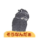 はまのうさぎ1（個別スタンプ：5）