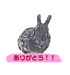 はまのうさぎ1（個別スタンプ：7）