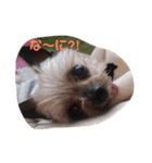 ダイスケ日常編（個別スタンプ：1）