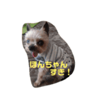 ダイスケ日常編（個別スタンプ：2）