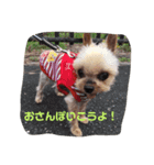 ダイスケ日常編（個別スタンプ：7）