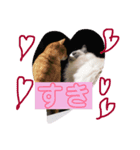 勇次郎と長吉（個別スタンプ：3）