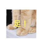勇次郎と長吉（個別スタンプ：7）