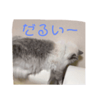 勇次郎と長吉（個別スタンプ：8）