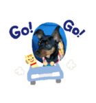 ミニピン ティダ（個別スタンプ：8）