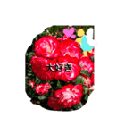 いろんな好き（個別スタンプ：6）