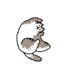 幸せな猫たち！（個別スタンプ：7）