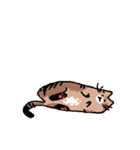 幸せな猫たち！（個別スタンプ：8）
