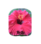 私の育てたお花（個別スタンプ：2）